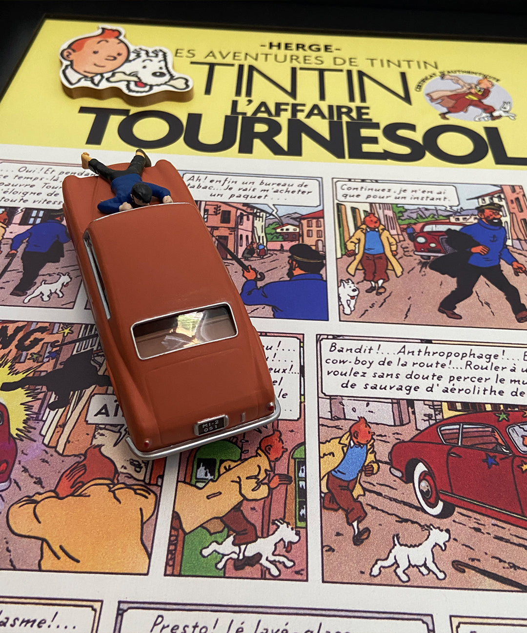 TINTIN / L'AFFAIRE TOURNESOL