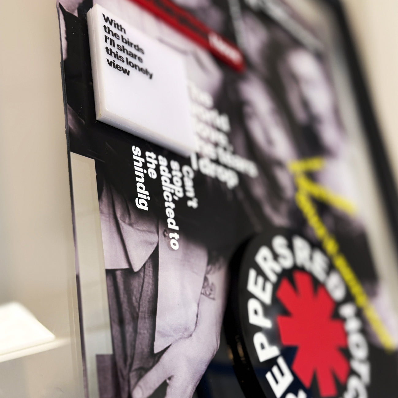 Red Hot Chili Peppers Özel Tasarım Tablo